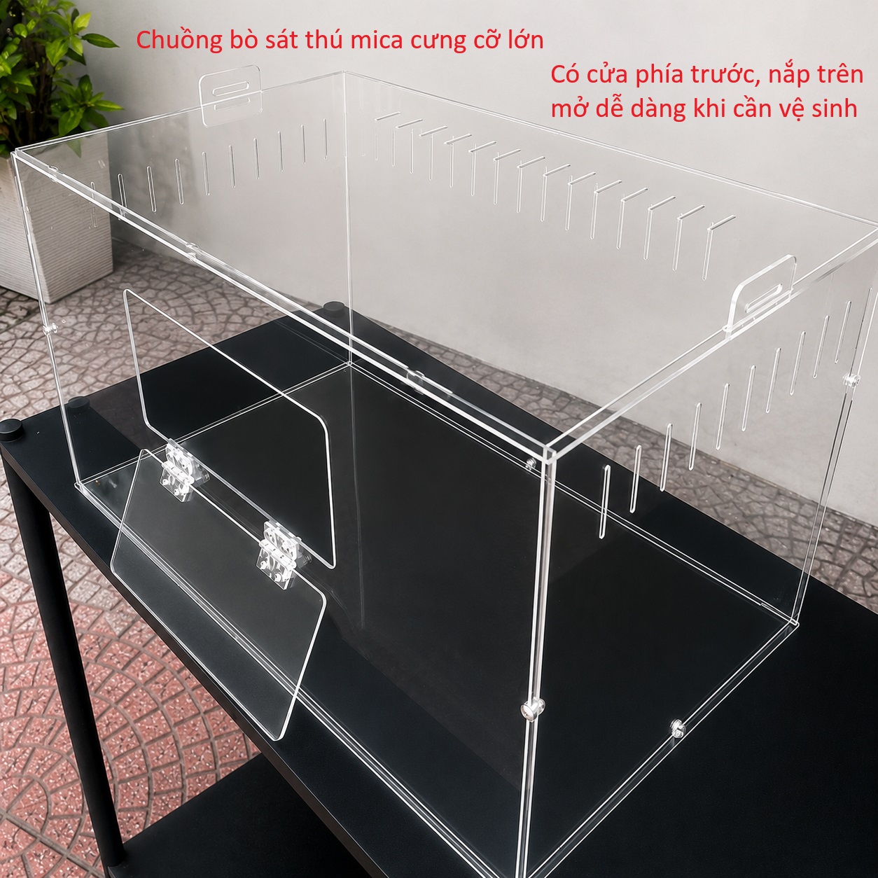 Chuồng Thú cưng & Bể cá
