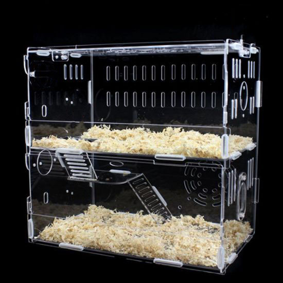 Chuồng Chuột Hamster